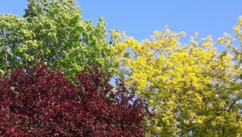 Photo "fashion colors of this spring"